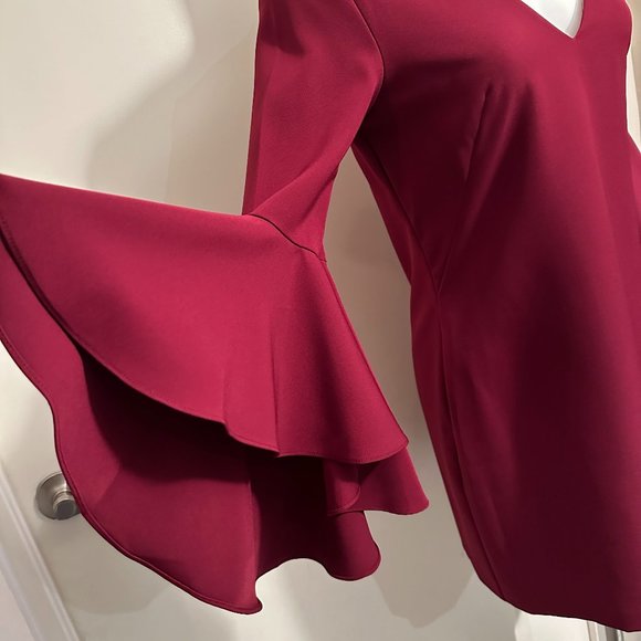 New! Betsy & Adam elegant dress - Picture 2 of 7